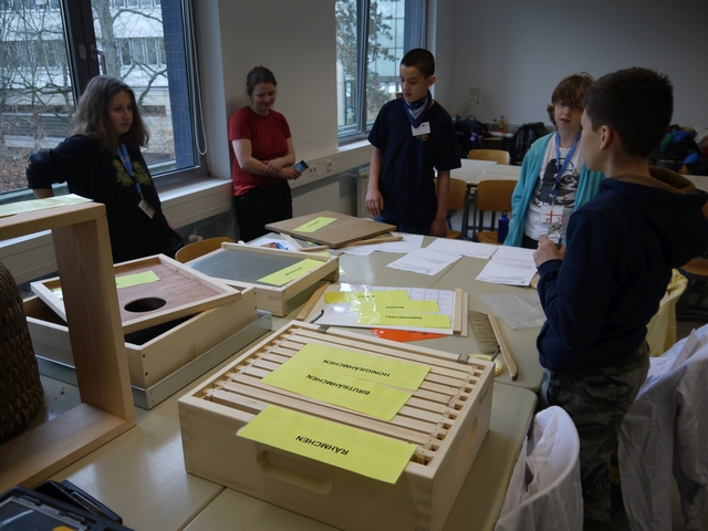 Alec erklärt den Aufgbau eines Lagstroth-Bienenstocks