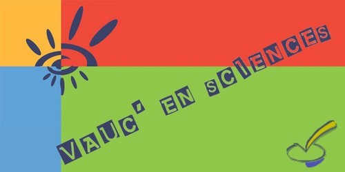 Logo Lycée Vaucanson